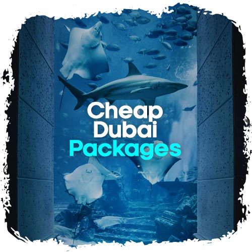 Cheap Dubai Tour Packages at Cheap Dubai Travels International