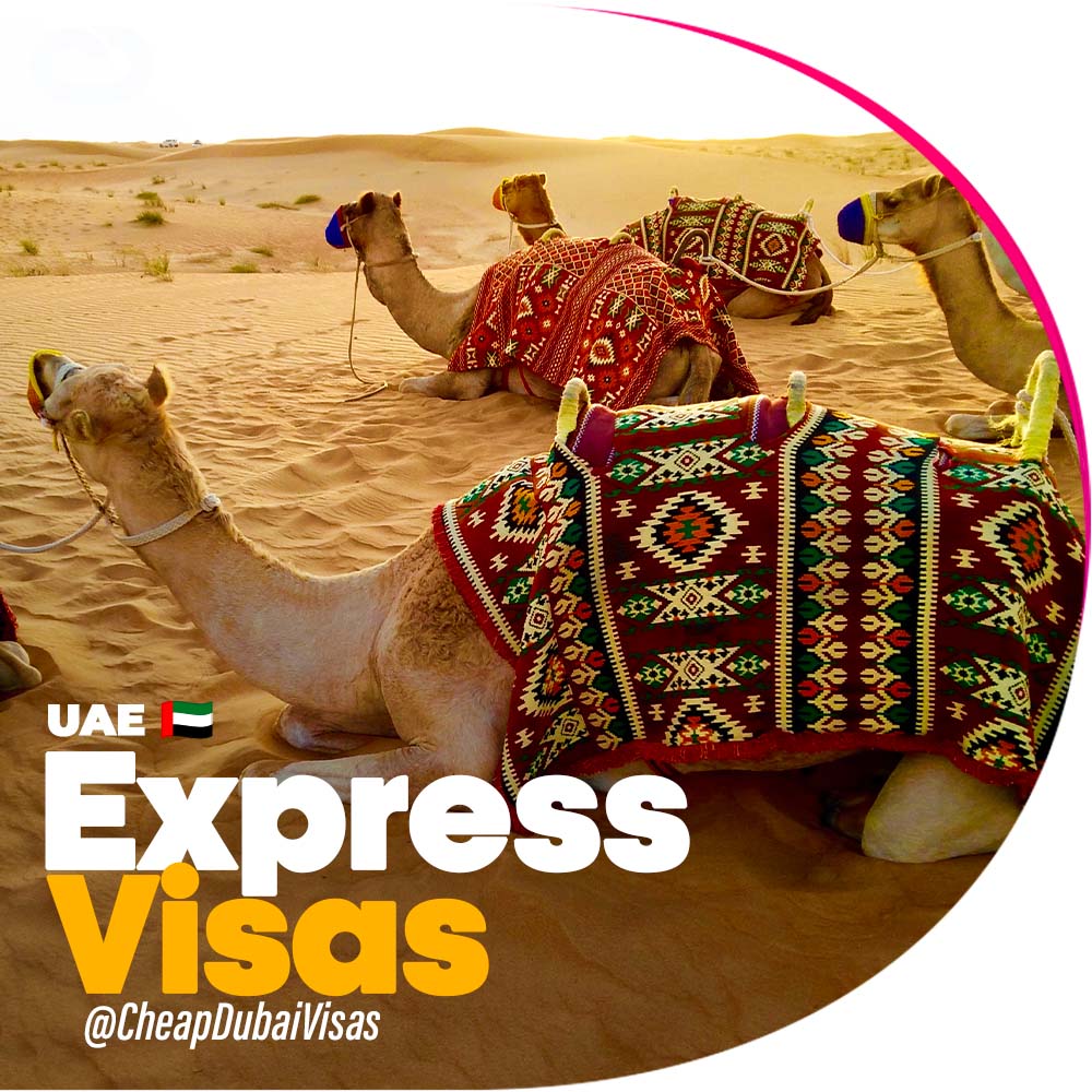 Get your Dubai Express Visas for 14days, 30 days and 60 days from Cheap Dubai Visas Agency