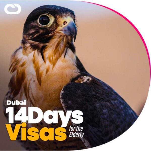 get your Dubai 14 days express Visa the elderly at cheapdubaivisas.com